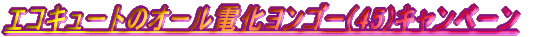 �G�R�L���[�g�̃I�[���d�������S�[(45)�L�����y�[��